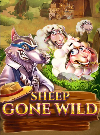 Sheep Gone Wild
